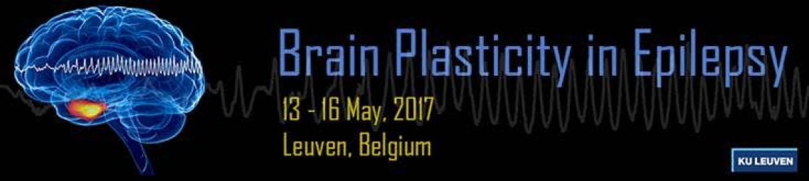 Brain Plasticity in Epilepsy