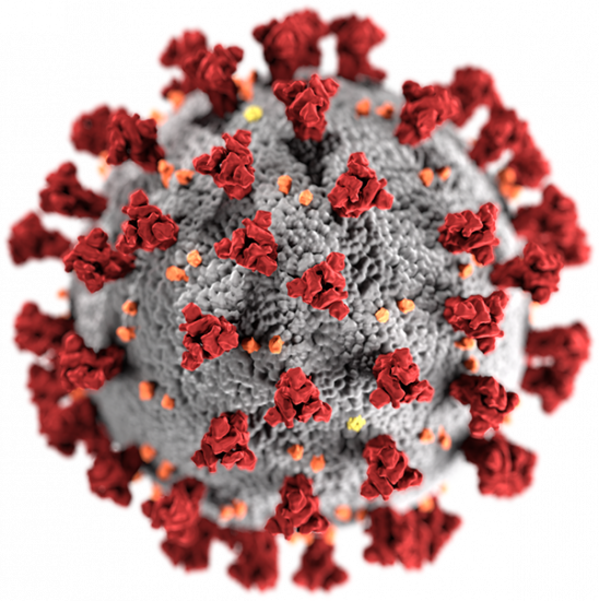 Coronavirus disease 19 (COVID-19) Resources