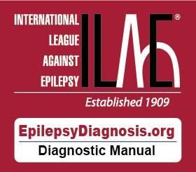 EpilepsyDiagnosis.Org – a novel online diagnostic manual of the epilepsies