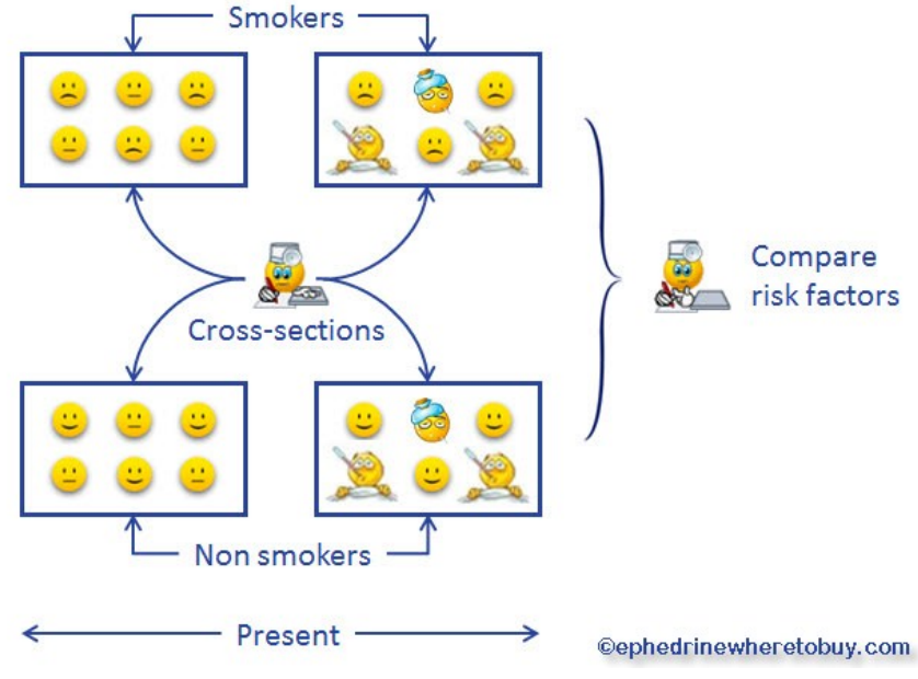 Cross-Sectional Study Cross-Sectional Study