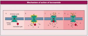 lacosamide